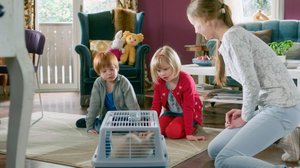 Kasper ja Petra kissavahteina (S): 12.07.2018 18.00