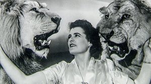 The Show of Shows (12): 14.07.2018 23.15