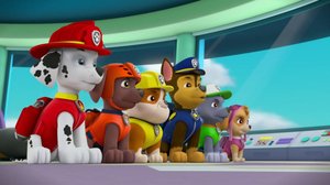 Pennut ja pormestarien kisa / Pennut löytävät aarteen (S): 15.07.2018 08.07