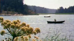 Muistatko kesän 1955?: 12.07.2018 00.10