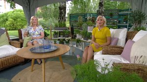 Ylen aamu-tv: Tänään otsikoissa: 12.07.2018 15.10