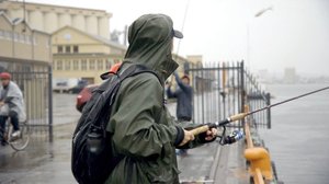 Vihreämpi elämä: 12.07.2018 16.20