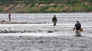 Luontoretkellä: Teno on paras lohijoki: 17.07.2018 13.00