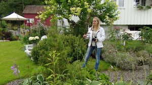 Iloa puutarhasta: 18.07.2018 10.00