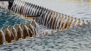 Ulkolinja: Viimeiseen vesipisaraan: 19.07.2018 06.00