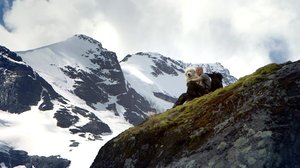 Suojaisa laakso: 20.07.2018 14.20