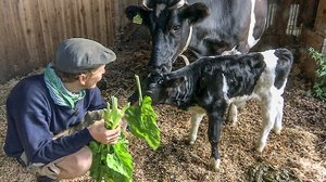 Tanskalainen maajussi: 22.07.2018 17.25