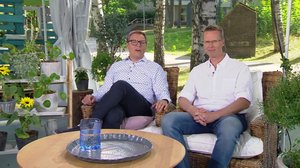 Ylen aamu-tv: Tänään otsikoissa: 19.07.2018 15.10