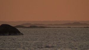 Viikon valinnat: Itämeri: 26.07.2018 08.30