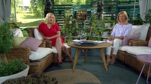 Ylen aamu-tv: Tänään otsikoissa: 24.07.2018 15.10