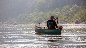 Luontohetki: Monimuotoinen Ranska: 29.07.2018 06.00
