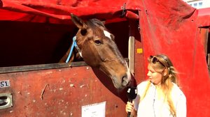 Lokalt live: Var med backstage på Seahorse Week i Hangö: 25.07.2018 10.42