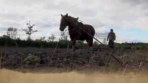 Tanskalainen maajussi: 29.07.2018 17.25