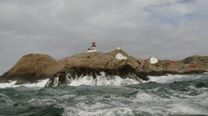 Majakan kaksi puutarhaa: 29.07.2018 13.10