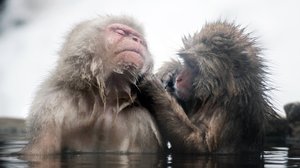 Honshu: 28.07.2018 06.00