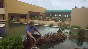 Leo juhlii maailmalla: 31.07.2018 11.00