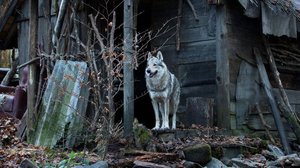 Raja jota ei ylitetä (12): 31.07.2018 23.25