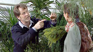 Raamatun kasvit: 02.08.2018 00.03