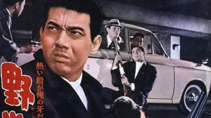 Pedon nuoruus (16): 02.08.2018 06.00