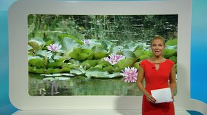 Yle Nyheter TV-nytt: 29.07.2018 19.30
