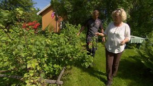 Iloa puutarhasta: 01.08.2018 10.00