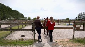 Ratsastuksen maailma: 05.08.2018 11.00