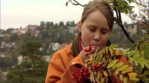 Marjamatka (S): 06.08.2018 07.07