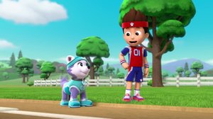 Potkupallopennut / Pennut pelastavat kisapäivän (S): 06.08.2018 07.57