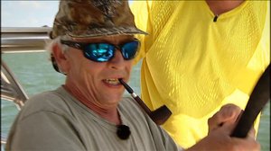 Riistametsällä: 06.08.2018 09.15