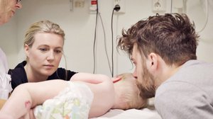 Royn täytyy selvitä: 06.08.2018 20.45