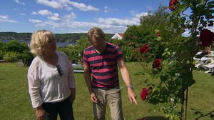 Iloa puutarhasta: 08.08.2018 10.00