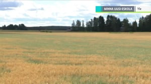 Yle Uutiset selkosuomeksi: 07.08.2018 15.05