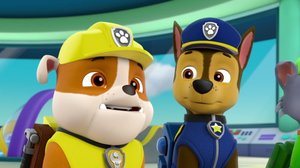 Tassut hillossa / Pennut pelastavat surffaavan possun (S): 13.08.2018 07.57