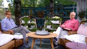 Ylen Aamu-tv: 10.08.2018 06.55