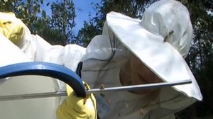 Hunajaa: 13.08.2018 07.07