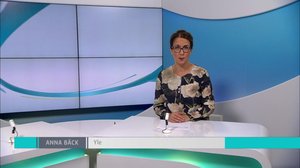 Yle Nyheter TV-nytt: 14.08.2018 17.55