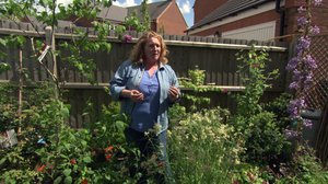 Maalaismaisemaa: 14.08.2018 19.01