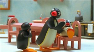 Pingu ja sideharso (S): 20.08.2018 07.52