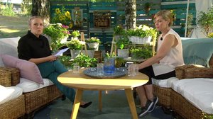 Tähtihetki: 17.08.2018 08.43