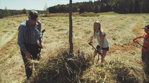 Maatalon elämää (S): 20.08.2018 18.00