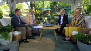 Jälkiviisaat: 17.08.2018 09.32