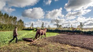Frank kiipeää korkeuksiin: 19.08.2018 17.25