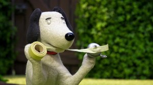 Auto (S): 22.08.2018 07.18