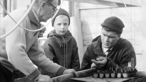 Puutarha lasin alla: 23.08.2018 00.01