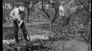 Kaakkois-Suomen vartti: Siirtolapuutarhat: 23.08.2018 00.01