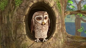 Ukko Ruskean uusi pesä (S): 25.08.2018 08.01