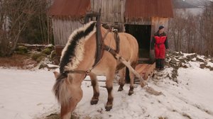 Tiettömän taipaleen takana: 25.08.2018 09.20