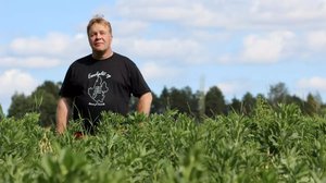 Viljelijät etsivät ratkaisuja ilmastonmuutokseen sopeutumisessa: 22.08.2018 11.15