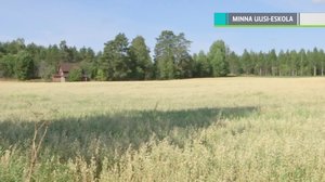 Yle Uutiset selkosuomeksi: 22.08.2018 15.05