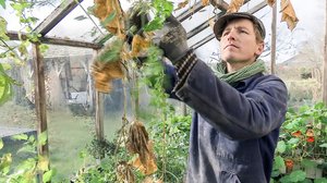 Tanskalainen maajussi: 26.08.2018 17.25